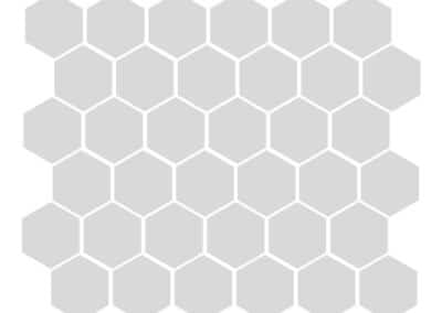 2" Hexagon Mosaic
